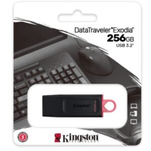 FLASH MEMORY KINGSTON DATA TRAVELE EXODIA DTX 256GB USB 3.2 NEGRO